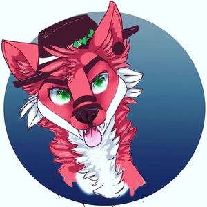 Meet your Posher, Elisabeth